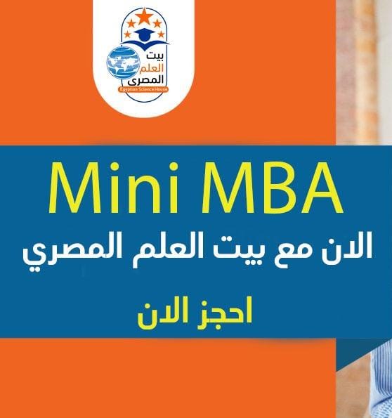 Mini MBA
